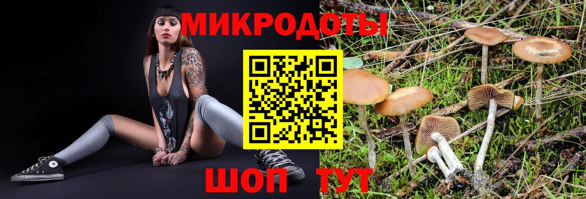 Псилоцибиновые грибы мухоморы  Вход с VPN  Егорьевск 